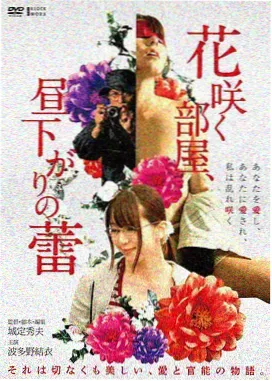 星际漫游者封面
